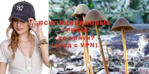 метадон Арсеньев